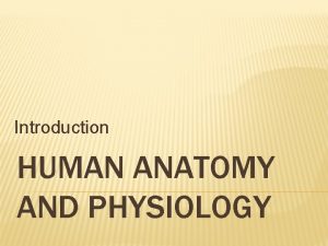 Introduction HUMAN ANATOMY AND PHYSIOLOGY WHAT IS ANATOMY