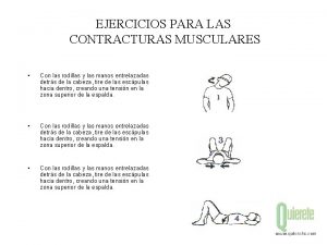 EJERCICIOS PARA LAS CONTRACTURAS MUSCULARES Con las rodillas