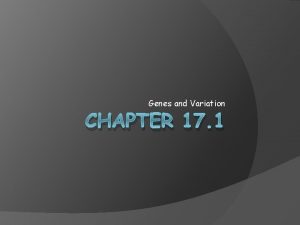 Genes and Variation CHAPTER 17 1 Genetic Variation Genes and Variation CHAPTER 17 1 Genetic Variation