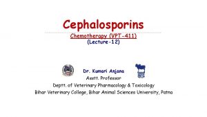 Cephalosporins Chemotherapy VPT411 Lecture12 Dr Kumari Anjana Asstt