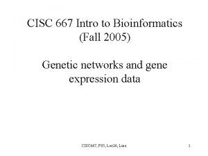 CISC 667 Intro to Bioinformatics Fall 2005 Genetic