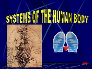 THE SKELETAL SYSTEM Major Organs Bones cartilage tendons