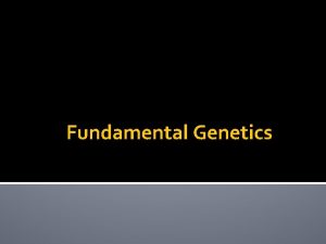 Fundamental Genetics Intro to genetics Genetics A branch