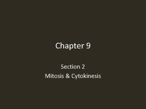 Chapter 9 Section 2 Mitosis Cytokinesis Mitosis consists