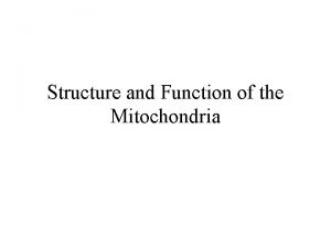 Structure and Function of the Mitochondria Structure of