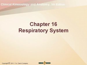 Clinical Kinesiology and Anatomy 5 th Edition Chapter