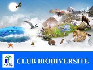 CLUB BIODIVERSITE LA BIODIVERSITE Questce que la Biodiversit