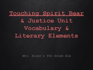 Touching Spirit Bear Justice Unit Vocabulary Literary Elements