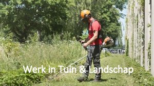 Werk in Tuin Landschap Les vorige week Welke