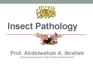Insect Pathology Prof Abdelwahab A Ibrahim Entomology Department