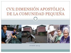 CVX DIMENSIN APOSTLICA DE LA COMUNIDAD PEQUEA JUNIO