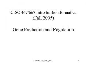 CISC 467667 Intro to Bioinformatics Fall 2005 Gene