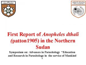 First Report of Anopheles dthali patton 1905 in