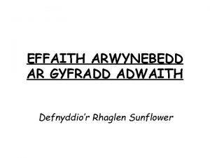 EFFAITH ARWYNEBEDD AR GYFRADD ADWAITH Defnyddior Rhaglen Sunflower