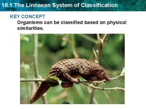 18 1 The Linnaean System of Classification KEY