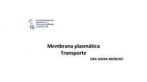 Membrana plasmtica Transporte DRA DIANA MORENO CARACTERISTICAS DE