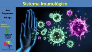 Sistema Imunolgico Aula Programada Biologia Tema Sistema imunolgico