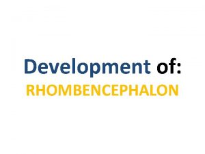 Development of RHOMBENCEPHALON v A deep furrow the