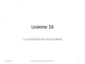 Lezione 16 La contrazione muscolare 05112019 091 FA