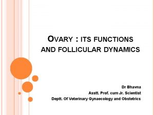 OVARY ITS FUNCTIONS AND FOLLICULAR DYNAMICS Dr Bhavna