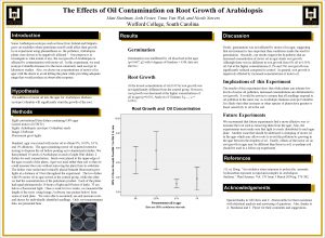 The Effects of Oil Contamination on Root Growth