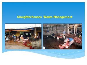 Slaughterhouses Waste Management Waste generated in slaughterhouse Slaughter