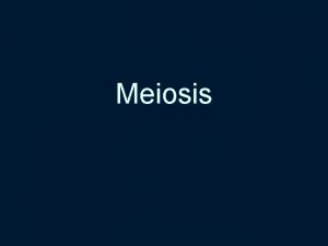 Meiosis Mitosis vs Meiosis Mitosis vs Meiosis n
