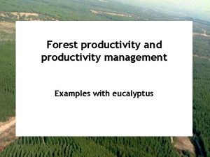 Forest productivity and productivity management Examples with eucalyptus