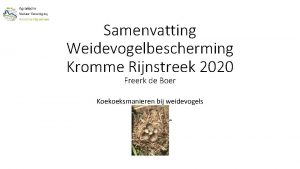 Samenvatting Weidevogelbescherming Kromme Rijnstreek 2020 Freerk de Boer