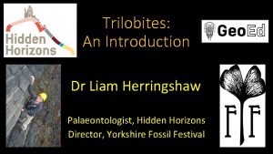 Trilobites An Introduction Dr Liam Herringshaw Palaeontologist Hidden