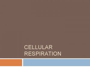 CELLULAR RESPIRATION Biology ADay 102519 Bellringer When your