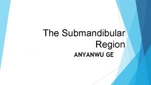 The Submandibular Region ANYANWU GE Introduction The submandibular