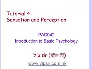 Tutorial 4 Sensation and Perception PAD 042 Introduction