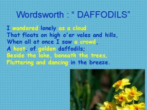 Wordsworth DAFFODILS I wandered lonely as a cloud