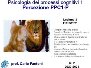 Psicologia dei processi cognitivi 1 Percezione PPC 1