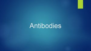 Antibodies Immune System organs and tissues that work