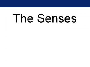 The Senses The General Senses Sensory receptors Specialized