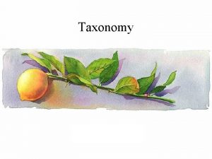 Taxonomy Taxon arrangement Classification Nomenclature Identification Classification the