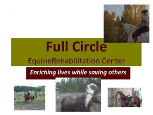 Full Circle Equine Rehabilitation Center Enriching lives while