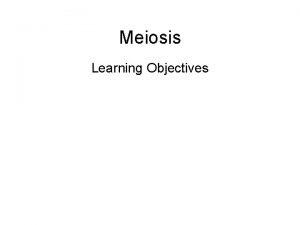 Meiosis Learning Objectives Learning Outcomes Key Words gamete