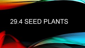 29 4 SEED PLANTS OVERVIEW Seed has a