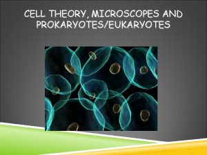 CELL THEORY MICROSCOPES AND PROKARYOTESEUKARYOTES MICROSCOPES WHAT ARE