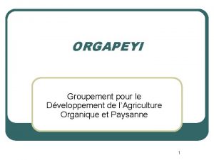 ORGAPEYI Groupement pour le Dveloppement de lAgriculture Organique