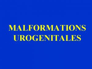 MALFORMATIONS UROGENITALES II MALFORMATIONS URINAIRES A RAPPEL EMBRYOLOGIQUE