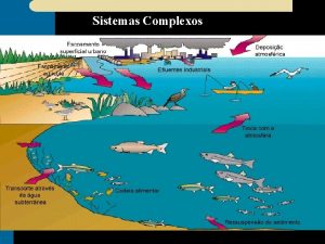 Sistemas Complexos Sistemas Conjunto de entidades relacionadas inderdependentes