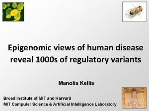 Epigenomic views of human disease reveal 1000 s