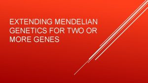 EXTENDING MENDELIAN GENETICS FOR TWO OR MORE GENES