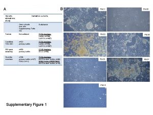 B A Genetic alterations study PDC 1 PDC