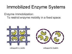 Immobilized Enzyme Systems Enzyme Immobilization To restrict enzyme Immobilized Enzyme Systems Enzyme Immobilization To restrict enzyme