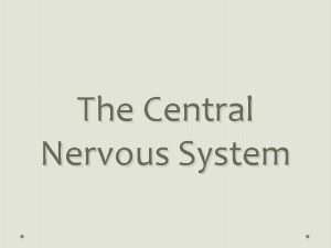 The Central Nervous System The Central Nervous System